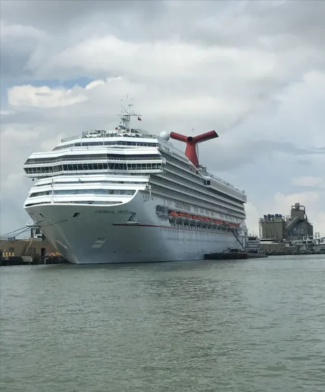 CARNIVAL FREEDOM Passenger Ship IMO 9333149