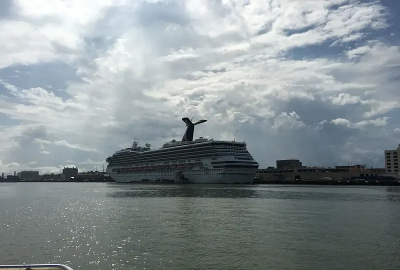 CARNIVAL FREEDOM Passenger Ship IMO 9333149 photo 2
