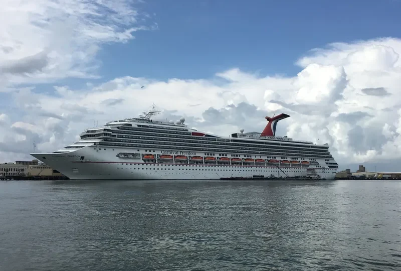 CARNIVAL FREEDOM Passenger Ship IMO 9333149 photo 3