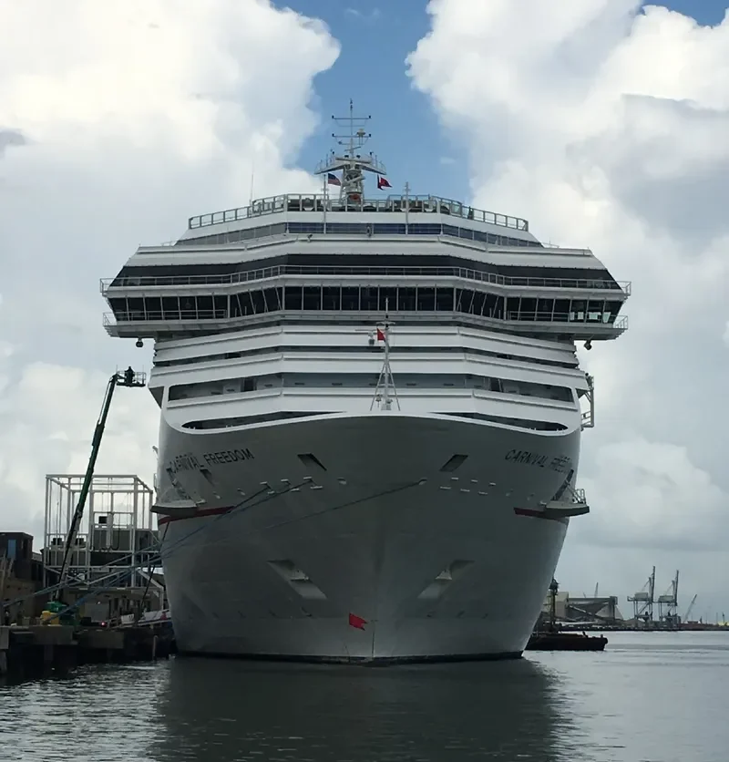 CARNIVAL FREEDOM Passenger Ship IMO 9333149 photo 4