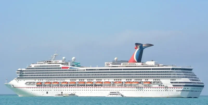 CARNIVAL FREEDOM Passenger Ship IMO 9333149 photo 5