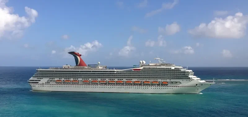 CARNIVAL FREEDOM Passenger Ship IMO 9333149 photo 6