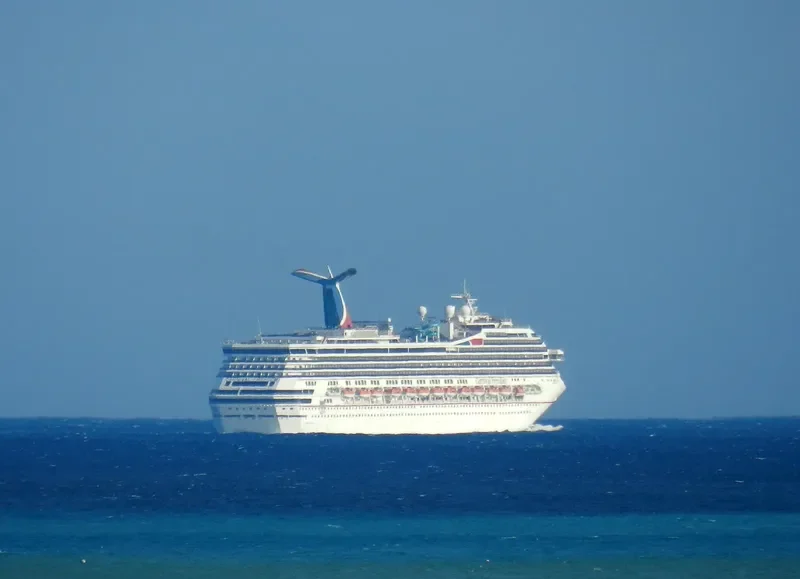 CARNIVAL FREEDOM Passenger Ship IMO 9333149 photo 7