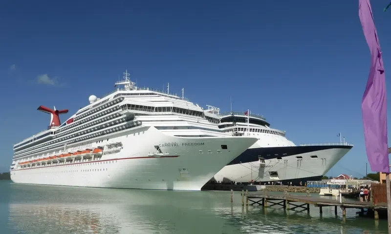 CARNIVAL FREEDOM Passenger Ship IMO 9333149 photo 8