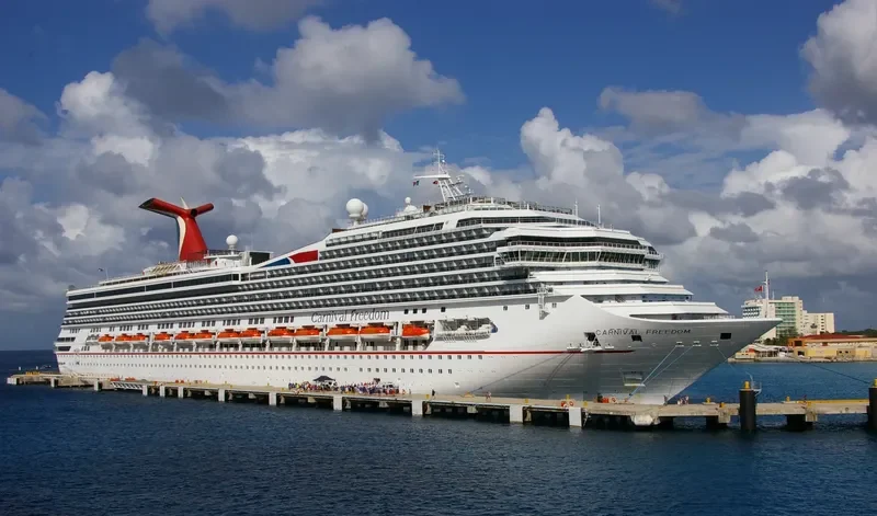 CARNIVAL FREEDOM Passenger Ship IMO 9333149 photo 9