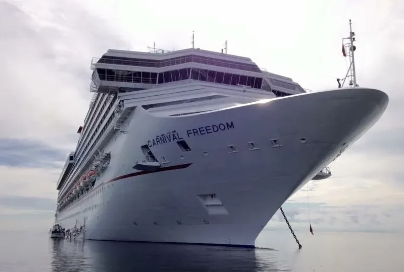 CARNIVAL FREEDOM Passenger Ship IMO 9333149 photo 10
