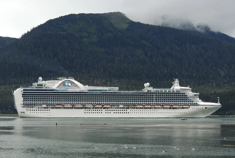 EMERALD PRINCESS Passenger Ship IMO 9333151 photo 2
