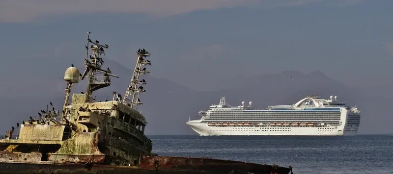EMERALD PRINCESS Passenger Ship IMO 9333151 photo 5