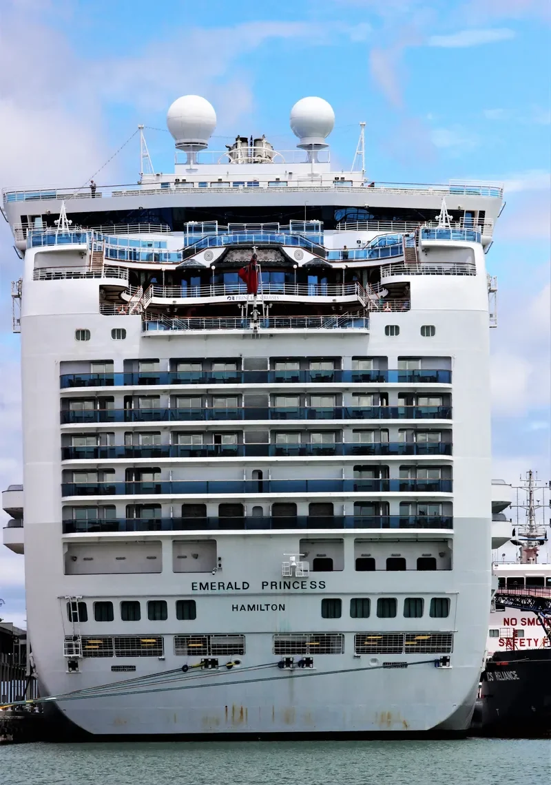 EMERALD PRINCESS Passenger Ship IMO 9333151 photo 9
