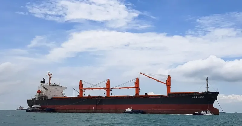 NPS MOSA Bulk Carrier IMO 9333266 photo 2