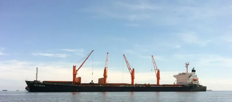 NPS MOSA Bulk Carrier IMO 9333266 photo 4