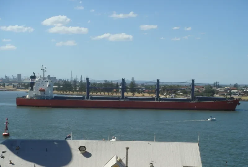 NPS MOSA Bulk Carrier IMO 9333266 photo 9