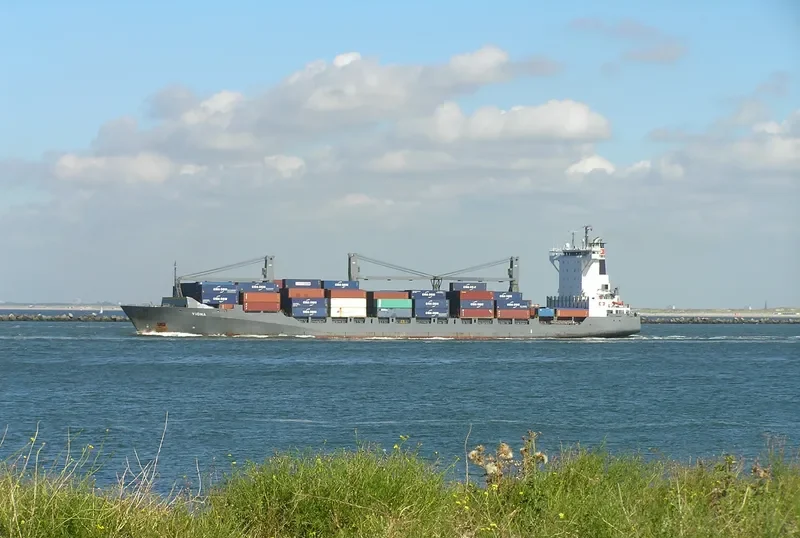 VIONA Container Ship IMO 9333369 photo 8