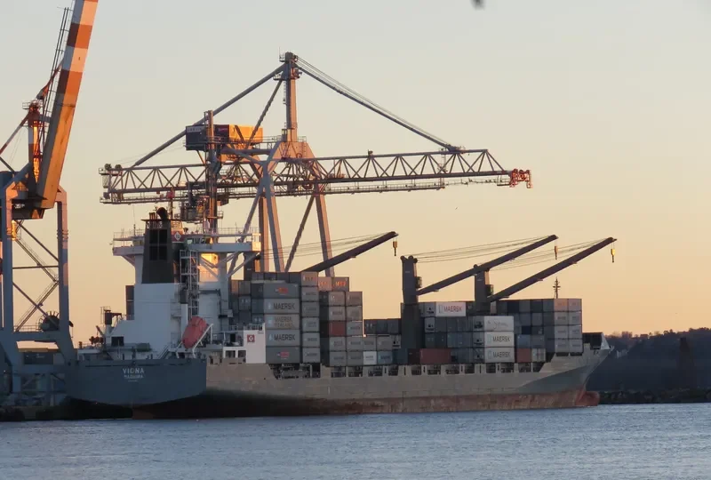 VIONA Container Ship IMO 9333369 photo 9