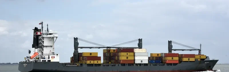 VALDIVIA Container Ship IMO 9333395
