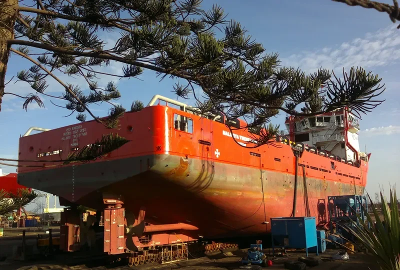 MALAVIYA TWENTY NINE Offshore Vessel IMO 9333503 photo 2