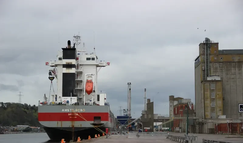 AMSTELBORG General Cargo IMO 9333527 photo 7