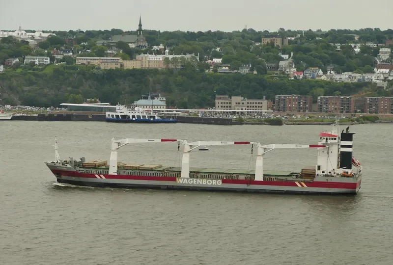 ARNEBORG General Cargo IMO 9333539 photo 3