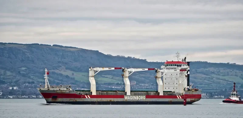 AMAZONEBORG General Cargo IMO 9333541 photo 7