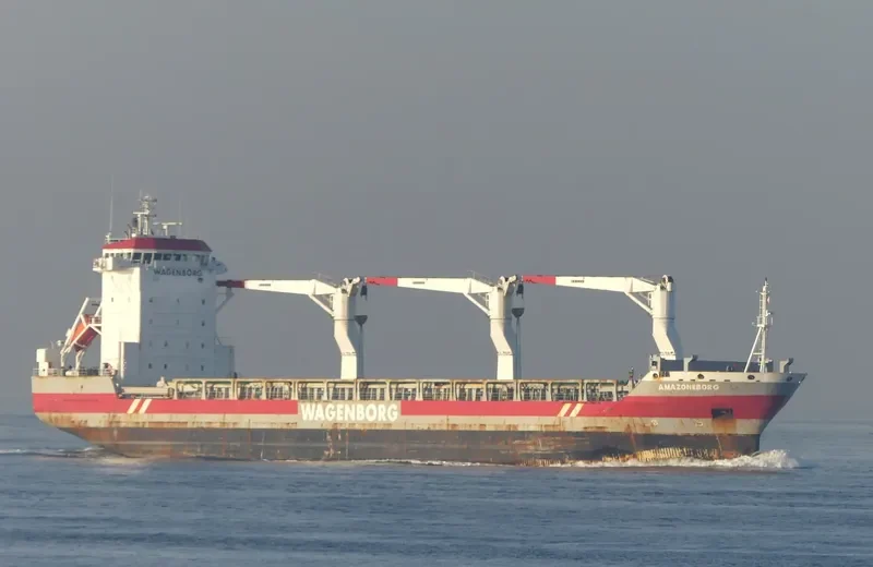 AMAZONEBORG General Cargo IMO 9333541 photo 9
