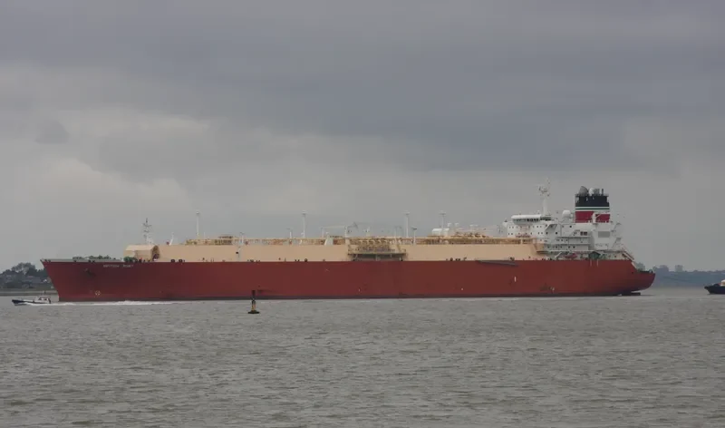 TRISTAR RUBY General Cargo IMO 9333606 photo 10