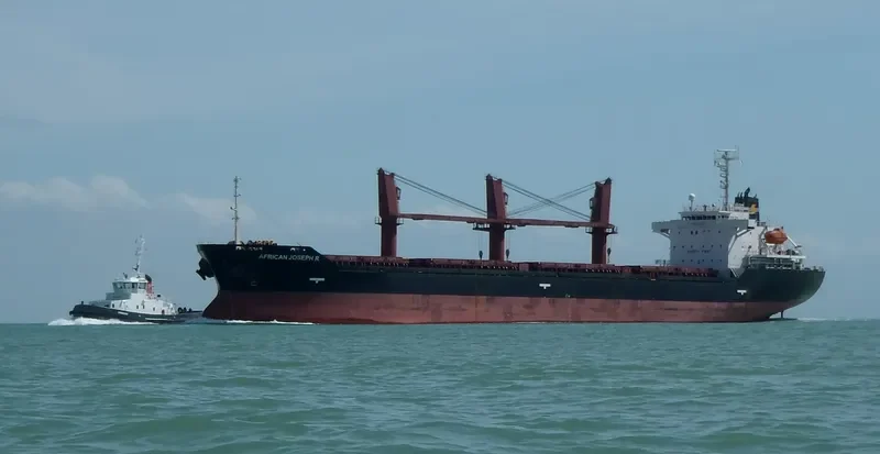 AFRICAN JOSEPH R Bulk Carrier IMO 9333711 photo 6