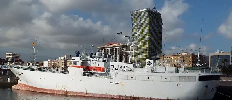 RYOAN MARU NO.15 General Cargo IMO 9333723 photo 2