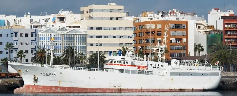 RYOAN MARU NO.15 General Cargo IMO 9333723 photo 4