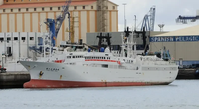 RYOAN MARU NO.15 General Cargo IMO 9333723 photo 6