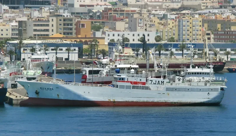 RYOAN MARU NO.15 General Cargo IMO 9333723 photo 8