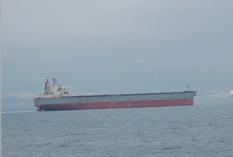 AQUAKATANA Bulk Carrier IMO 9333797 photo 7