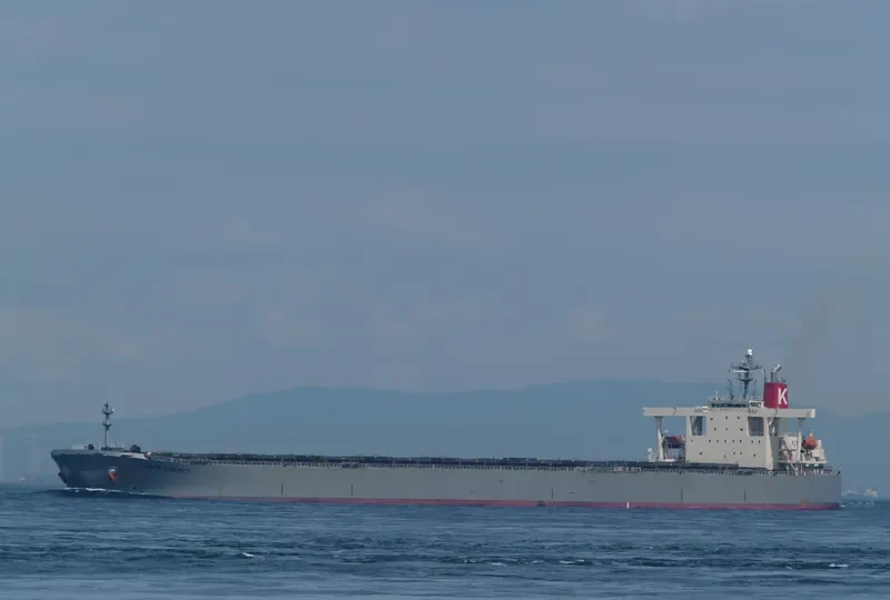 AQUAKATANA Bulk Carrier IMO 9333797 photo 10