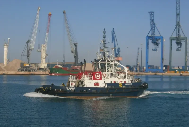 VB MUSCLE General Cargo IMO 9333876