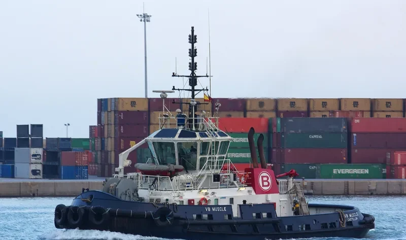 VB MUSCLE General Cargo IMO 9333876 photo 2