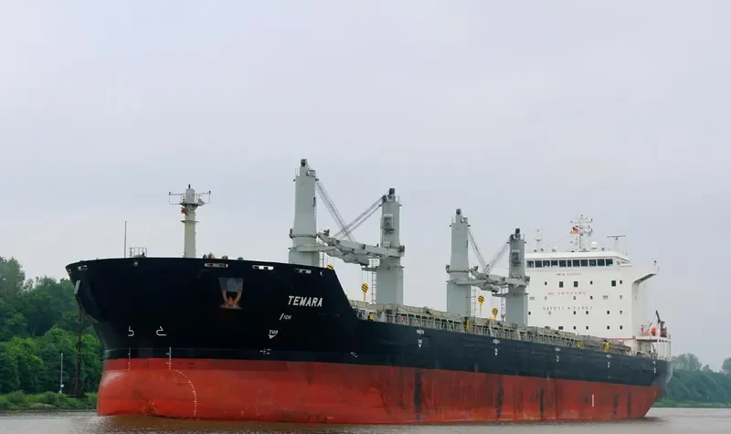 LUCKY SOURCE Bulk Carrier IMO 9333929 photo 7