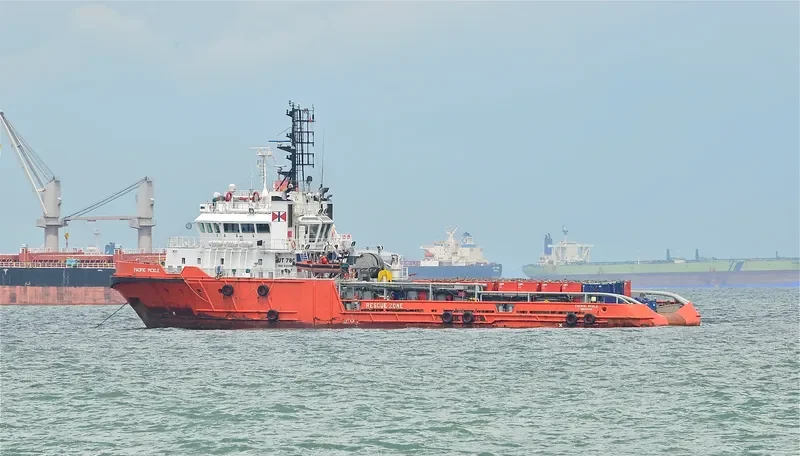 THANH LONG Offshore Vessel IMO 9333967 photo 3