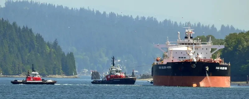 FSO GOLDEN STAR Multi-Purpose Vessel IMO 9334040 photo 5