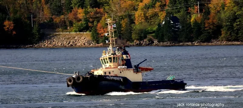 SVITZER BEDFORD General Cargo IMO 9334090 photo 8