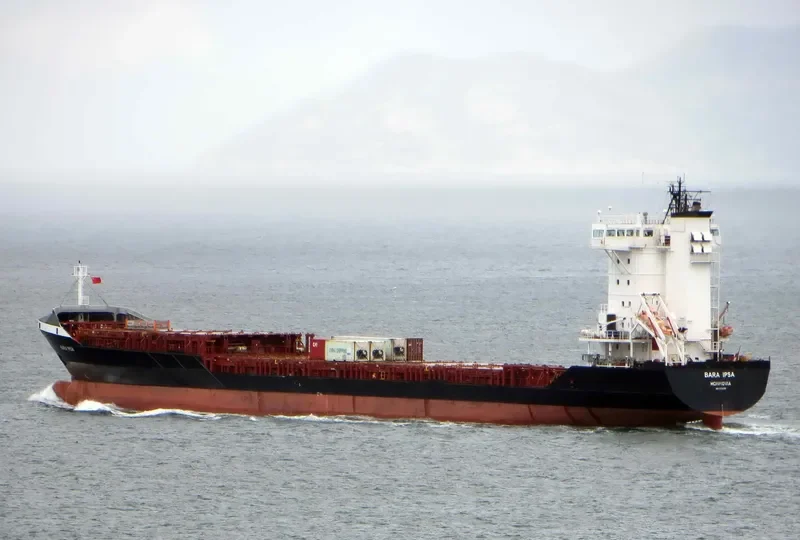 TAN CANG GLORY Container Ship IMO 9334105 photo 7