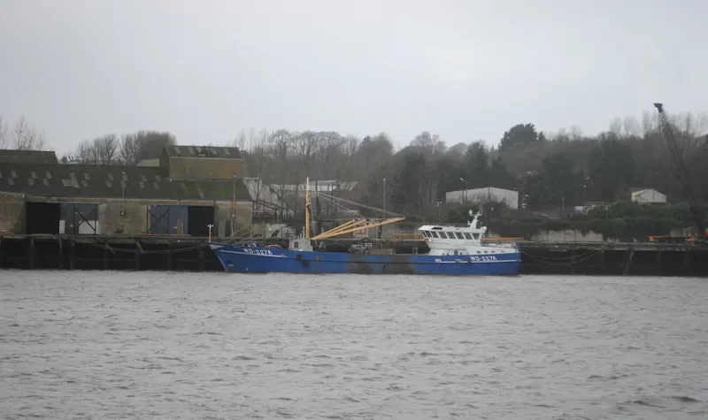 HIBERNIA General Cargo IMO 9334258 photo 2