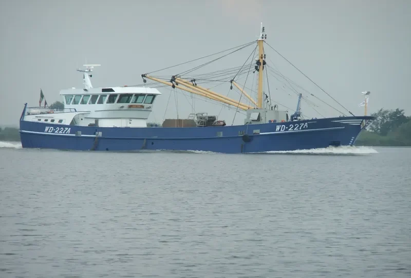HIBERNIA General Cargo IMO 9334258 photo 3