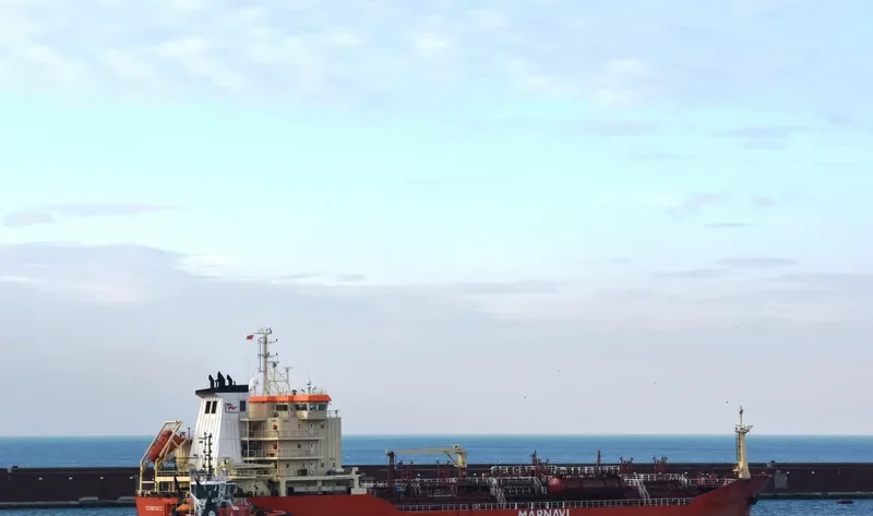 DOMENICO IEVOLI Tanker IMO 9334430
