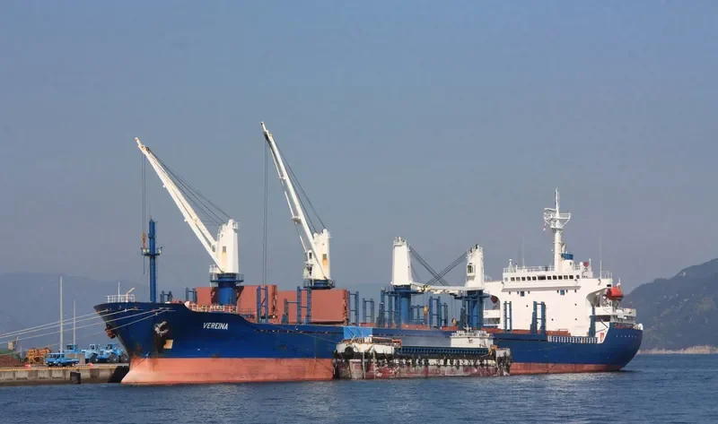 PVT AROMA Bulk Carrier IMO 9334480 photo 3