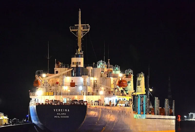PVT AROMA Bulk Carrier IMO 9334480 photo 4
