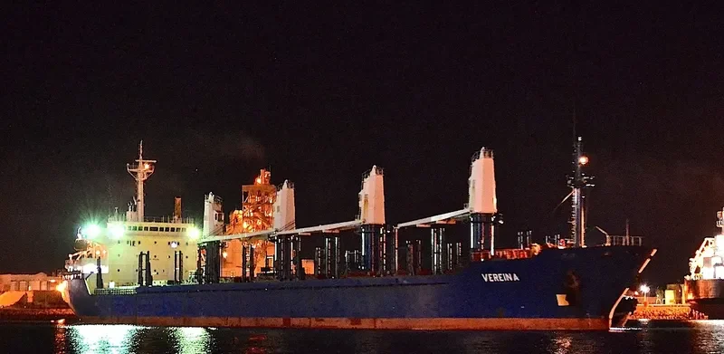 PVT AROMA Bulk Carrier IMO 9334480 photo 5