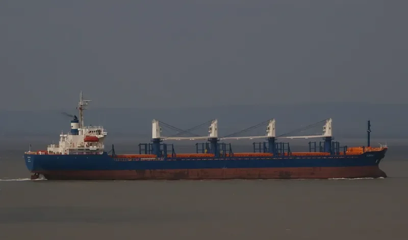 PVT AROMA Bulk Carrier IMO 9334480 photo 10