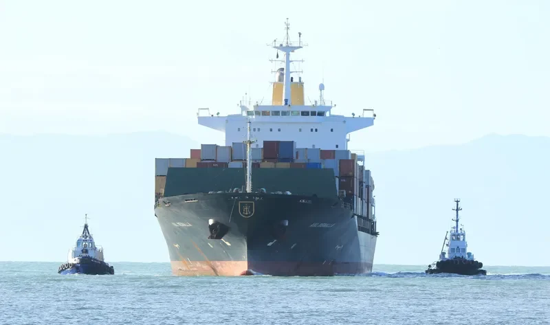BOTANY Container Ship IMO 9334519 photo 7