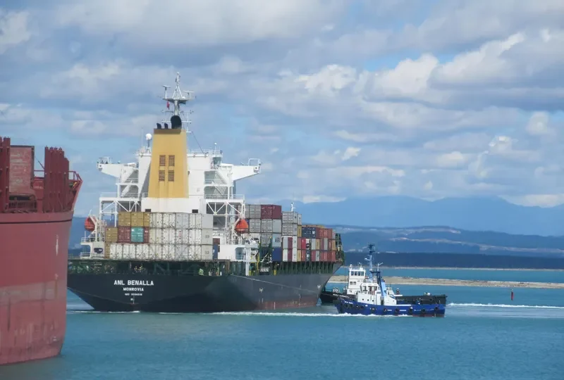 BOTANY Container Ship IMO 9334519 photo 8