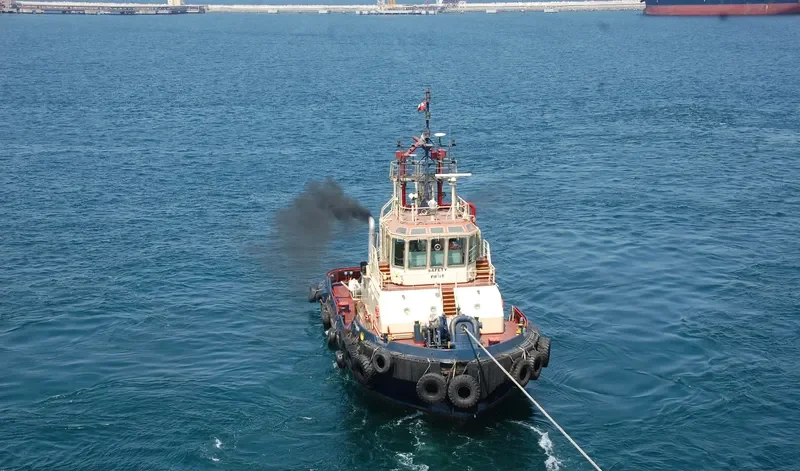 SVITZER SHINAS General Cargo IMO 9334650 photo 3