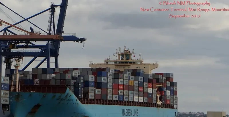 MAERSK TAURUS Container Ship IMO 9334674 photo 2